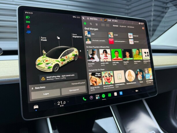 tesla-model-3-elektrisitet-2019-big-16