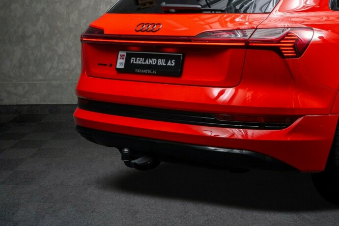 audi-e-tron-elektrisitet-2020-big-6