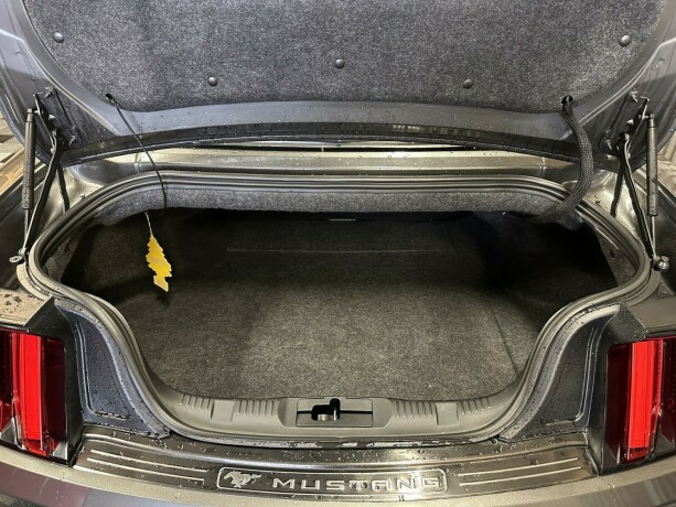 ford-mustang-bensin-2015-big-42