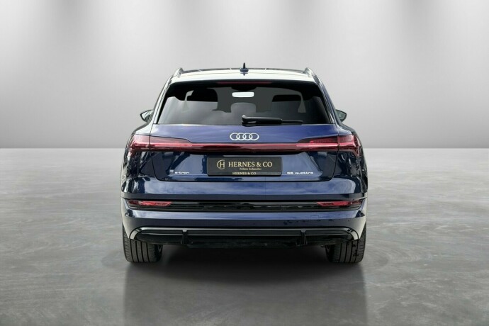audi-e-tron-elektrisitet-2021-big-7