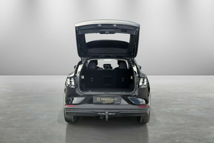 ford-mustang-mach-e-elektrisitet-2021-big-11