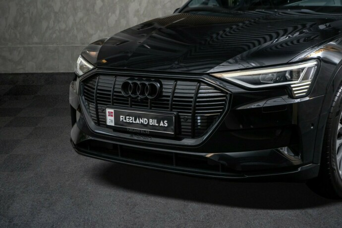 audi-e-tron-elektrisitet-2020-big-2