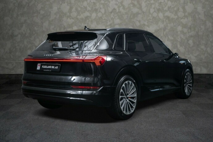 audi-e-tron-elektrisitet-2020-big-6