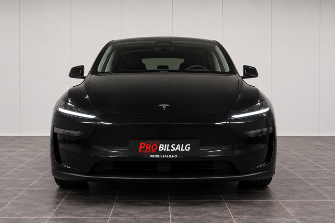 tesla-model-y-elektrisitet-2025-big-1