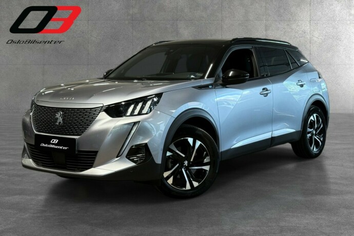 peugeot-2008-elektrisitet-2021-big-0
