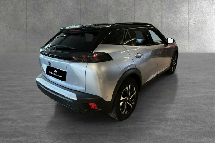 peugeot-2008-elektrisitet-2021-big-5