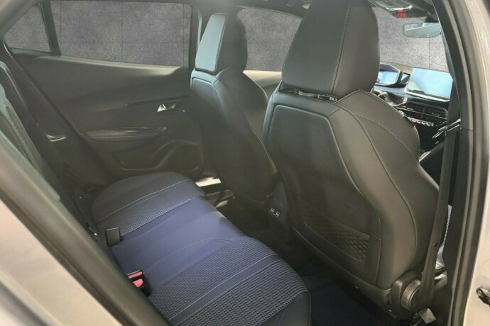 peugeot-2008-elektrisitet-2021-big-25