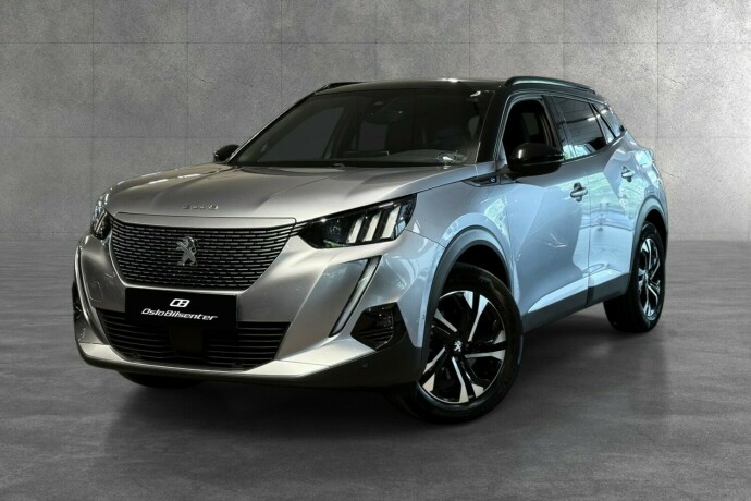 peugeot-2008-elektrisitet-2021-big-2