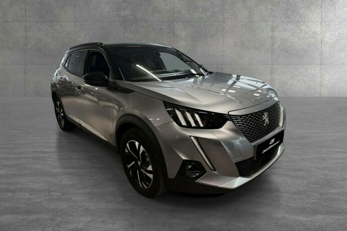 peugeot-2008-elektrisitet-2021-big-7