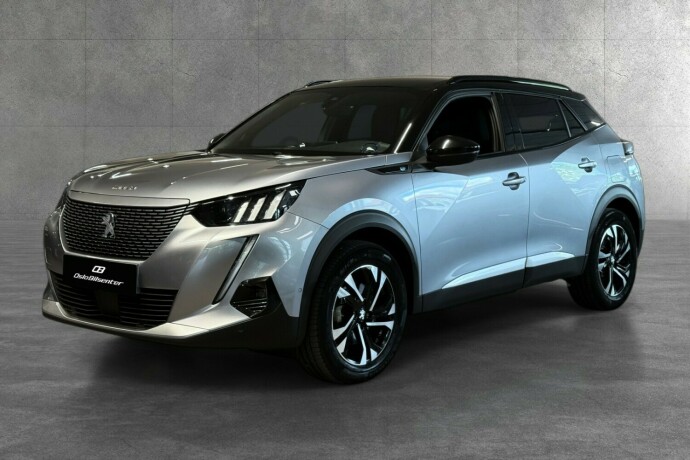 peugeot-2008-elektrisitet-2021-big-1