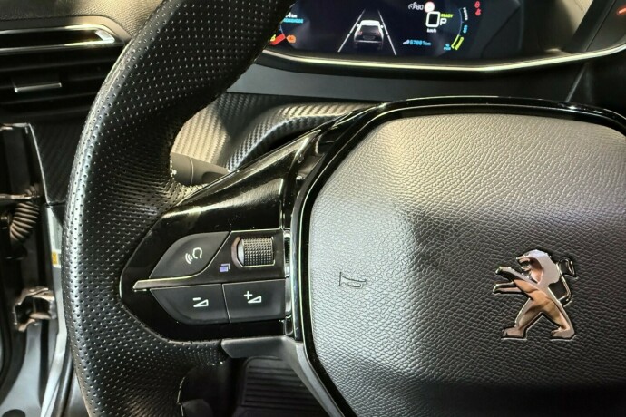 peugeot-2008-elektrisitet-2021-big-20