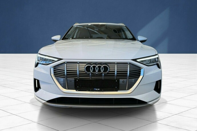 audi-e-tron-elektrisitet-2022-big-8