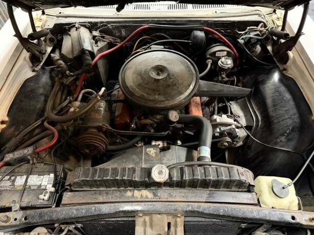 chevrolet-impala-bensin-1966-big-42