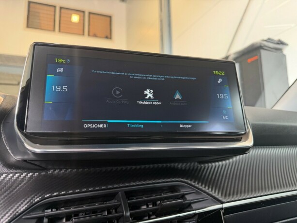 peugeot-e-2008-elektrisitet-2020-big-28