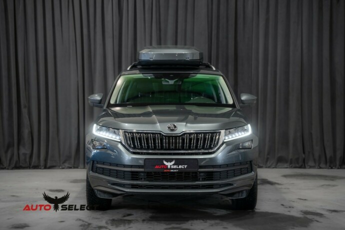 skoda-kodiaq-diesel-2021-big-4