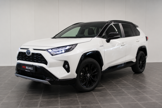 toyota-rav4-elektrisitetbensin-2024-big-0