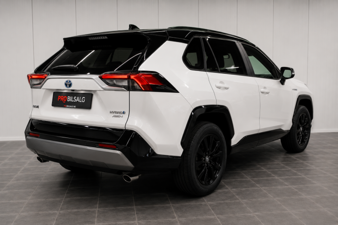 toyota-rav4-elektrisitetbensin-2024-big-2