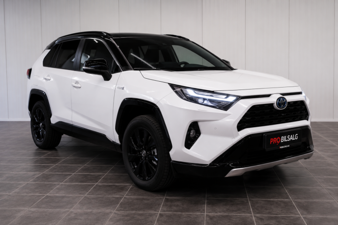 toyota-rav4-elektrisitetbensin-2024-big-1