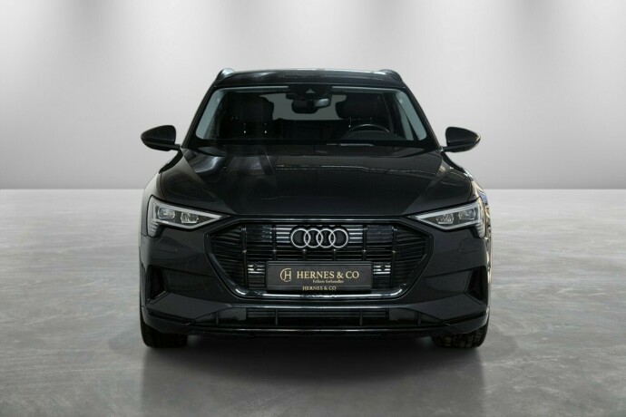 audi-elektrisitet-2021-big-2