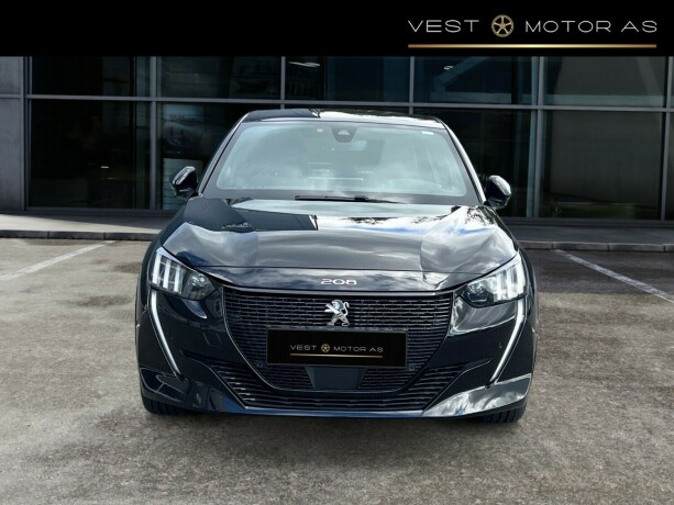 peugeot-208-elektrisitet-2020-big-1