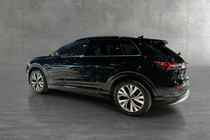 audi-50-elektrisitet-2022-big-10