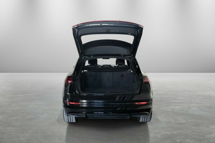 audi-e-tron-elektrisitet-2020-big-6