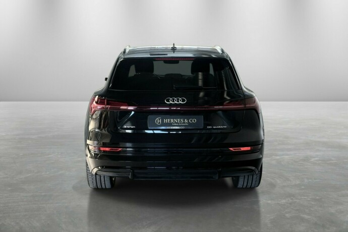 audi-e-tron-elektrisitet-2020-big-4