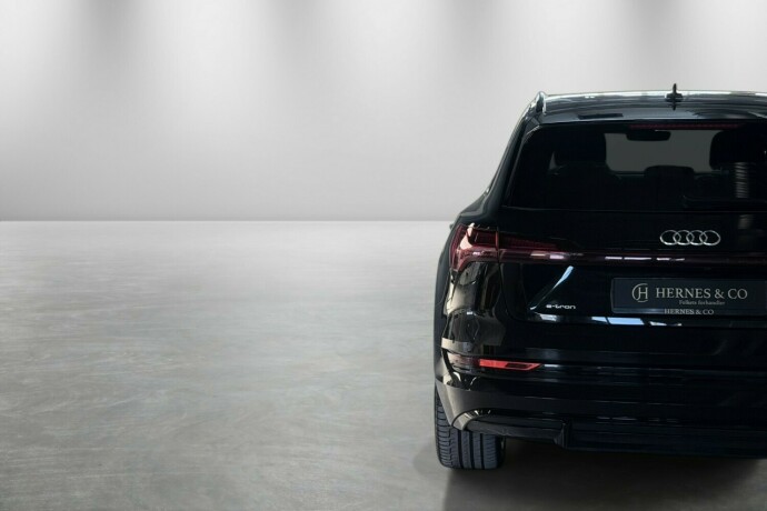audi-e-tron-elektrisitet-2020-big-5