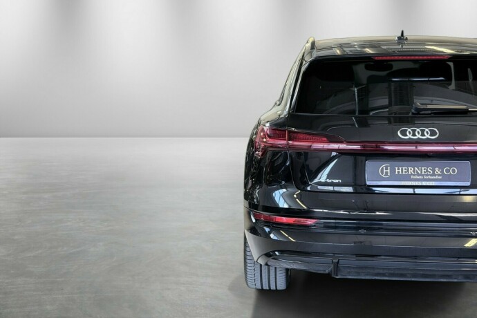 audi-e-tron-elektrisitet-2020-big-36