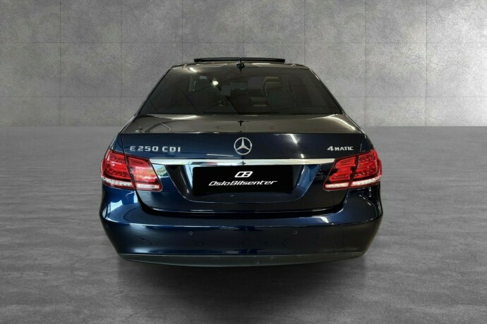 mercedes-benz-e-klasse-diesel-2014-big-4