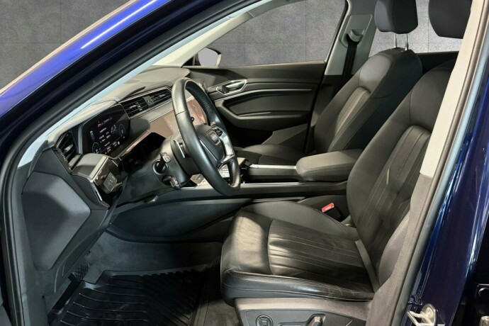 audi-e-tron-elektrisitet-2020-big-8
