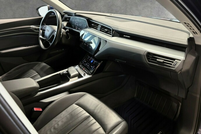audi-e-tron-elektrisitet-2020-big-23