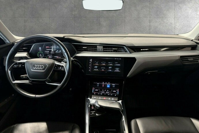 audi-e-tron-elektrisitet-2020-big-13