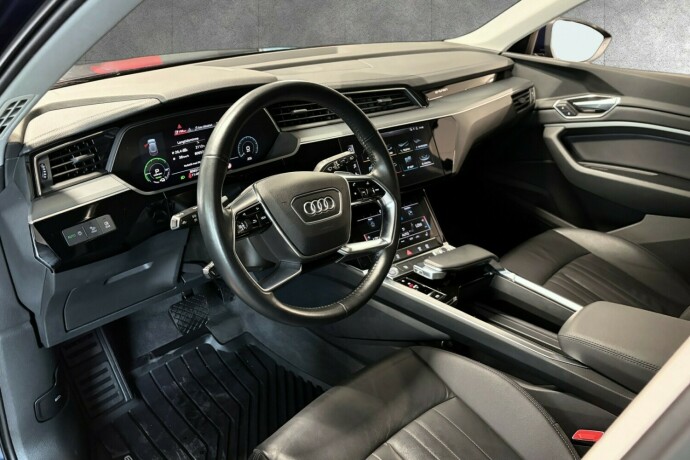audi-e-tron-elektrisitet-2020-big-9