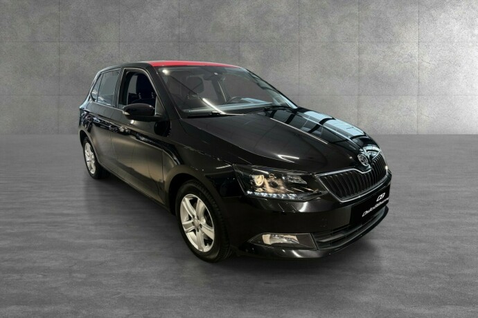 skoda-fabia-bensin-2018-big-7