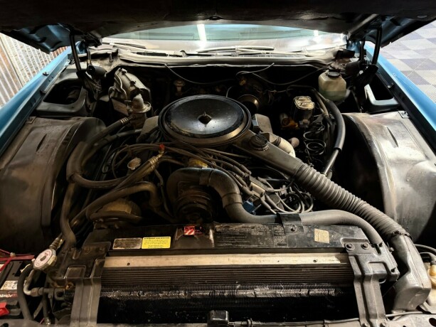 cadillac-eldorado-bensin-1976-big-49
