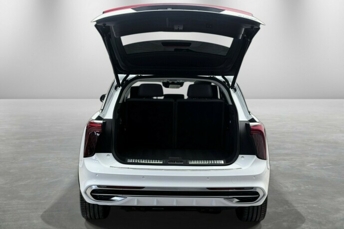 hongqi-e-hs9-elektrisitet-2022-big-8