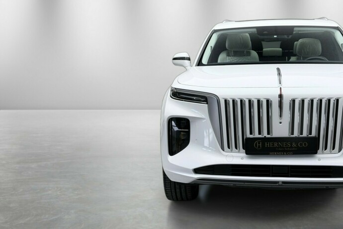 hongqi-e-hs9-elektrisitet-2022-big-3