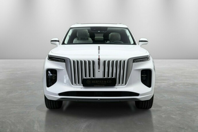 hongqi-e-hs9-elektrisitet-2022-big-2