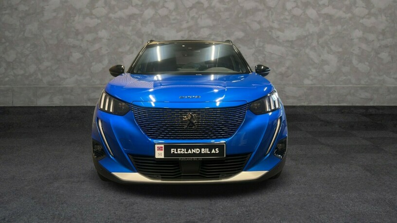 peugeot-e-2008-elektrisitet-2021-big-1