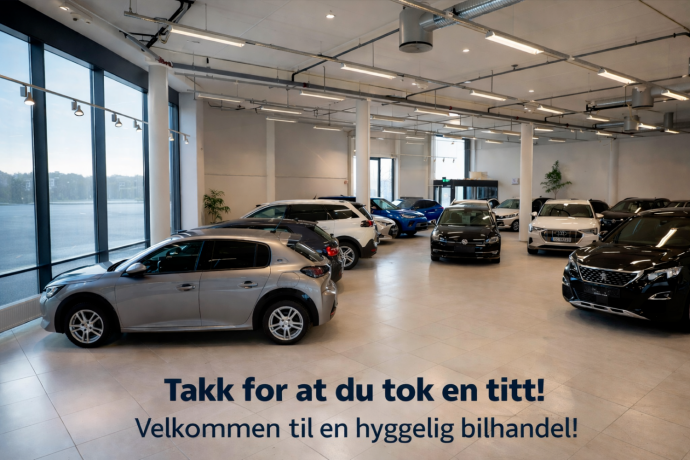renault-zoe-elektrisitet-2021-big-26
