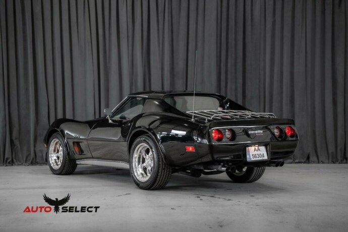 chevrolet-corvette-bensin-1976-big-9