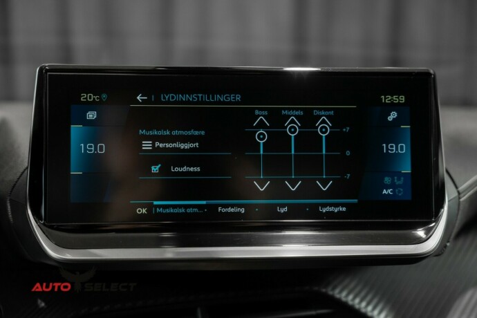 peugeot-e-2008-elektrisitet-2022-big-40