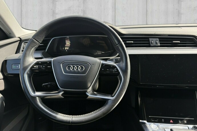 audi-e-tron-elektrisitet-2019-big-10