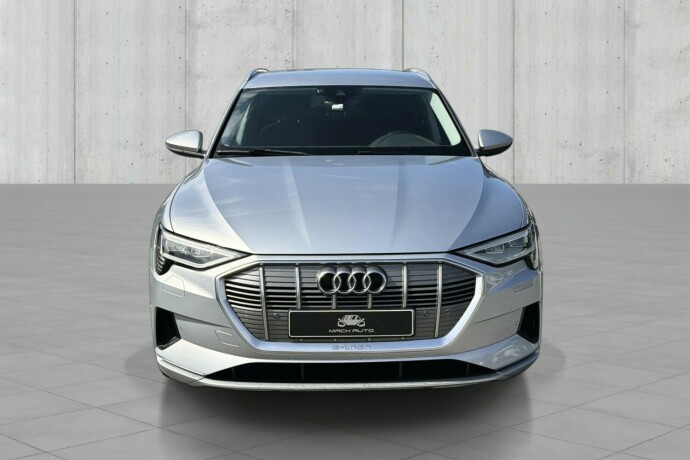 audi-e-tron-elektrisitet-2019-big-1