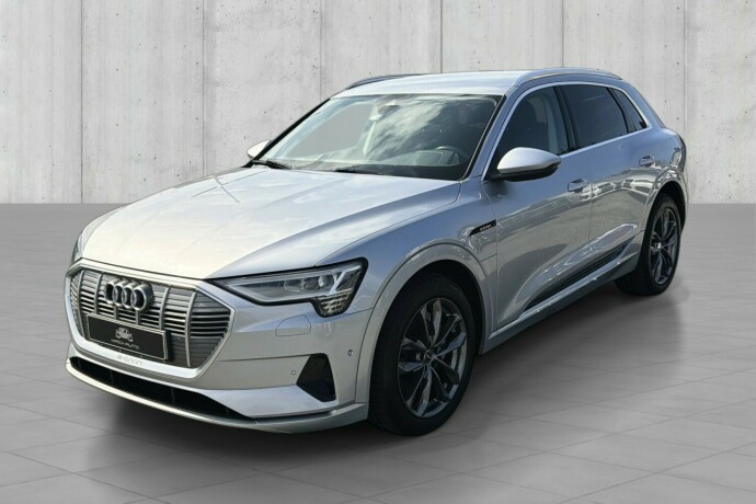 audi-e-tron-elektrisitet-2019-big-2