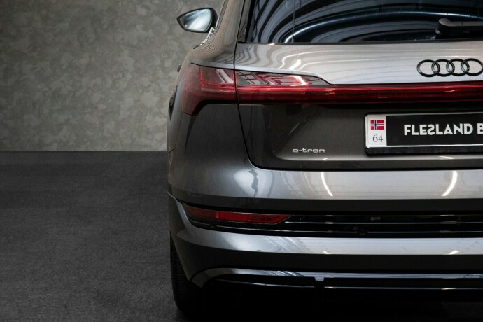 audi-e-tron-elektrisitet-2021-big-7