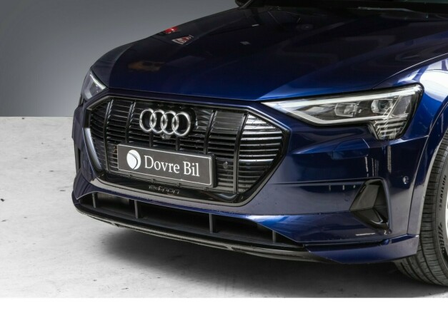 audi-e-tron-elektrisitet-2020-big-2