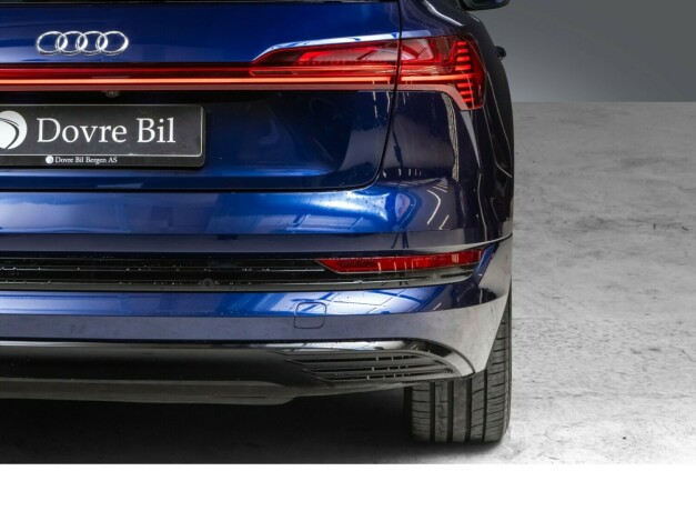 audi-e-tron-elektrisitet-2020-big-7