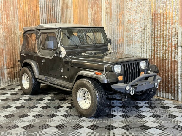 jeep-wrangler-bensin-1993-big-0